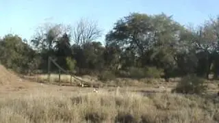 edgardo prevedello 1er back flip a la tierra crf 450