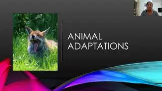Animals, Humans and Food: Animal Adaptations and Food | Lesson 2