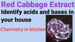 Red cabbage extract (Colour changes in acids and bases)