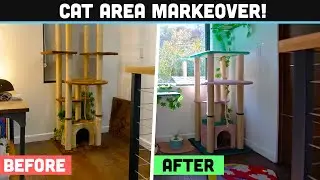 A Whole NEW Cat Area Makeover Before The Baby Arrives!