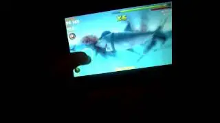 Hungry Shark