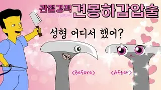 관절경적 견봉하 감압술 1 - 정의, 해부학