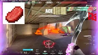 QTD Kippei