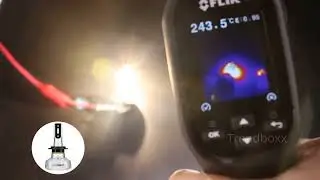 Car Headlight Auto Headlamp Fog Light BulbsSuccess