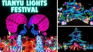 Tianyu Lights Festival 2024 at Citi Field in Queens NY | Koda’s Adventure to the Magical Forest (4K)
