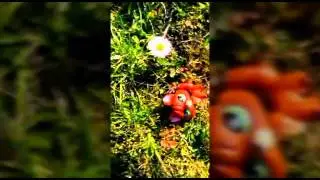 LPS Music video Welcome to the show