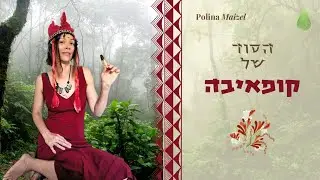 סודות השמן קופאיבה