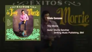 Tiny Morrie - 