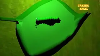 Animasi 3D Ulat (Camera Angel & Movement)