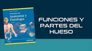 SISTEMA ÓSEO 1: FUNCIONES DEL HUESO || Tortora - Derrickson
