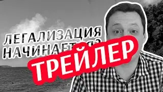 Легализация начинается? 