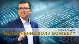 Орен Лев Ари: 