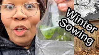 🇨🇦 The one thing you must do this Gardening season| Winter Sowing| Nino and Lo👨🏾‍🍳👩🏽‍🌾