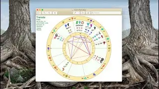 Mars Conjunct North Node | Exact March 26th | Mindfulness and Responsibility