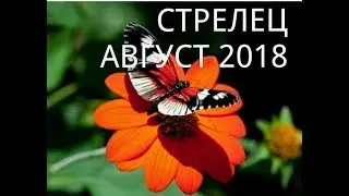 СТРЕЛЕЦ - ТАРО ПРОГНОЗ НА АВГУСТ 2018 года