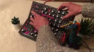 Moog Subharmonicum x2, Korg wavestate & cyclone 606