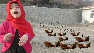 (-ÇİFTLİK BÖNK-) KALAN TAVUKLAR 100 LERCE TAVUK (İRONİ)