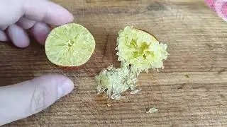 Дегустация микроцитруса Blood Lime