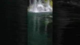 4761 1015670 mp3