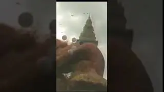 Никогда не запускай шарики на небо! И вот почему