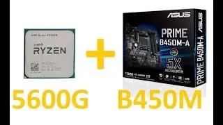 👍🏻 Asus B450M + Ryzen 5600G