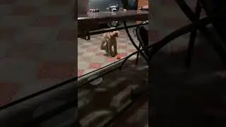 За пол часа до прямого эфира в ТИК ТОК)🐩🤣