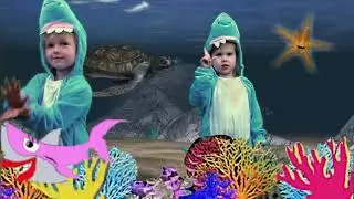 Baby Shark Rock Version