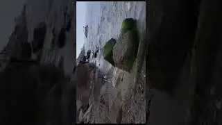 сочи