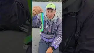 A secret way to rig lures to minimize the chance of fish getting away