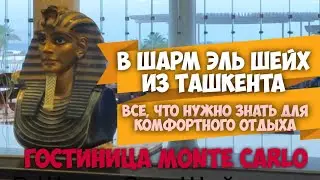 В ШАРМ ЭЛЬ ШЕЙХ из ТАШКЕНТА. Всё, что вам нужно знать для комфортного отдыха в гостинице MONTE CARLO