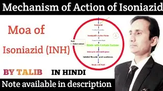 Mechanism of Action of Isoniazid (INH) In Hindi | MOA of Isoniazid In Hindi | Antitubular Drugs