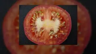 benefets and dangers of tomato seeds