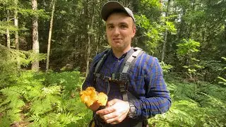 Прогулки по лесу , грибные места