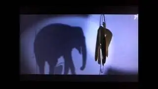 Pathé/Eskwad (2009)