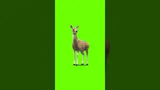 3D Green screen effect video# Black screen effect Video # kinemaster effect video#Shorts