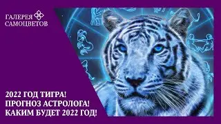 2022 - Год Тигра! Прогноз астролога! Как встречать Новый Год. Каким будет 2022 год!