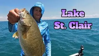 Video Game Smallmouth Bass; Livescope x Drop Shot (Feat. @PRicchiFishing) #Shorts