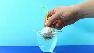Пайдалы кеңес