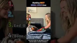 Ranking BEST SMALL DOGS Core Moments!!🐶🍼