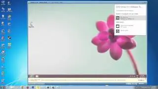 How to Install VMware Tools on a VM and Why it is Important