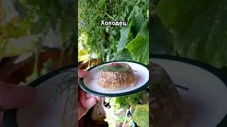 Рецепт холодца, который 100% застынет. Красивая подача. #cooking #рецепт #рецепты #холодец #закуска