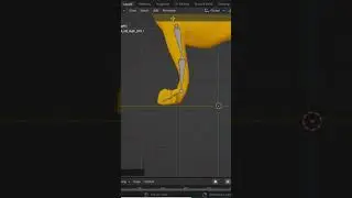 Blender Auto rig 