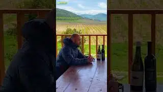 Сложно ли самостоятельно искать рабочую силу для работ на виноградниках? 