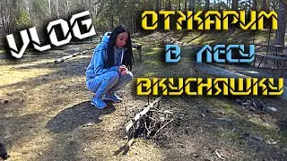 ☑ VLOG / ОДНА В ЛЕСУ ЗАПЕКАЮ В УГЛЯХ  ВКУСНЯШКУ / ОТВЕТЫ НА ВОПРОСЫ