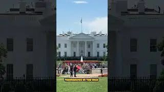 Top Reasons to Visit & Discover Washington DC | #travelvlog #washingtondc #facts #usa #america