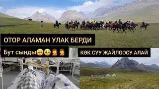 "ОТОР" АЛАЙ КӨК СУУДА АЛАМАН УЛАК БЕРДИ БИРОК ТИЛЕККЕ КАРШЫ ИШ БОЛДУ😳😭😭
