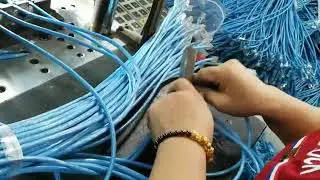 Ethernet Cable Patch Cord Patch Cable Molding Step