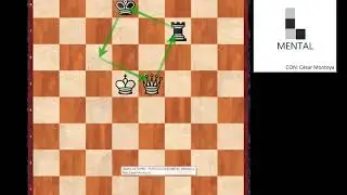 Final de Dama contra torre