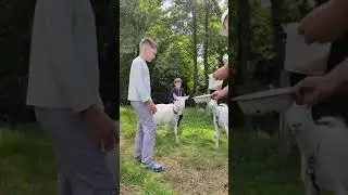 Любимая полянка на Котре. Июль, 2021.