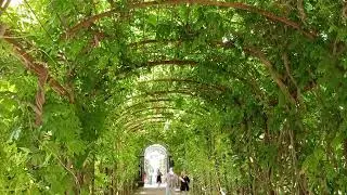 Garden view v.5 #landscape #landscapephotography #pictures #videoshort #2023 #europe